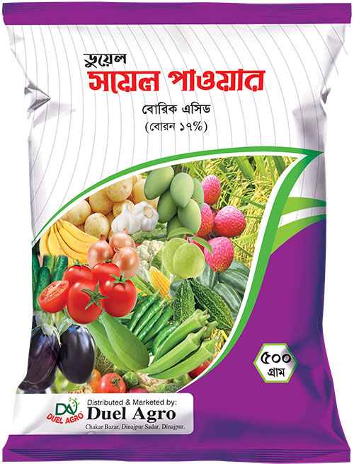 সয়েল পাওয়ার