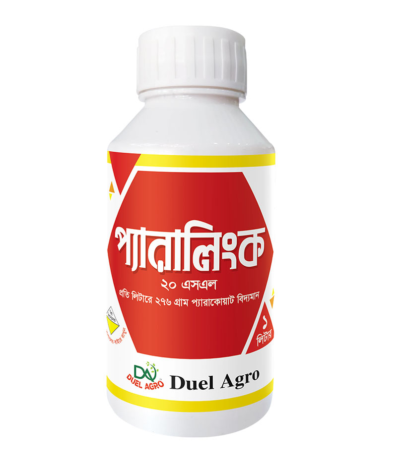 প্যারালিংক