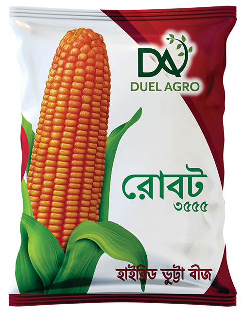 রোবট হাইব্রিড ভুট্টা বীজ