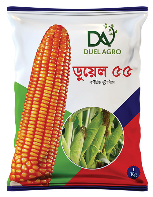 ডুয়েল ৫৫