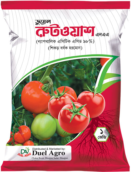 রুটওয়াশ