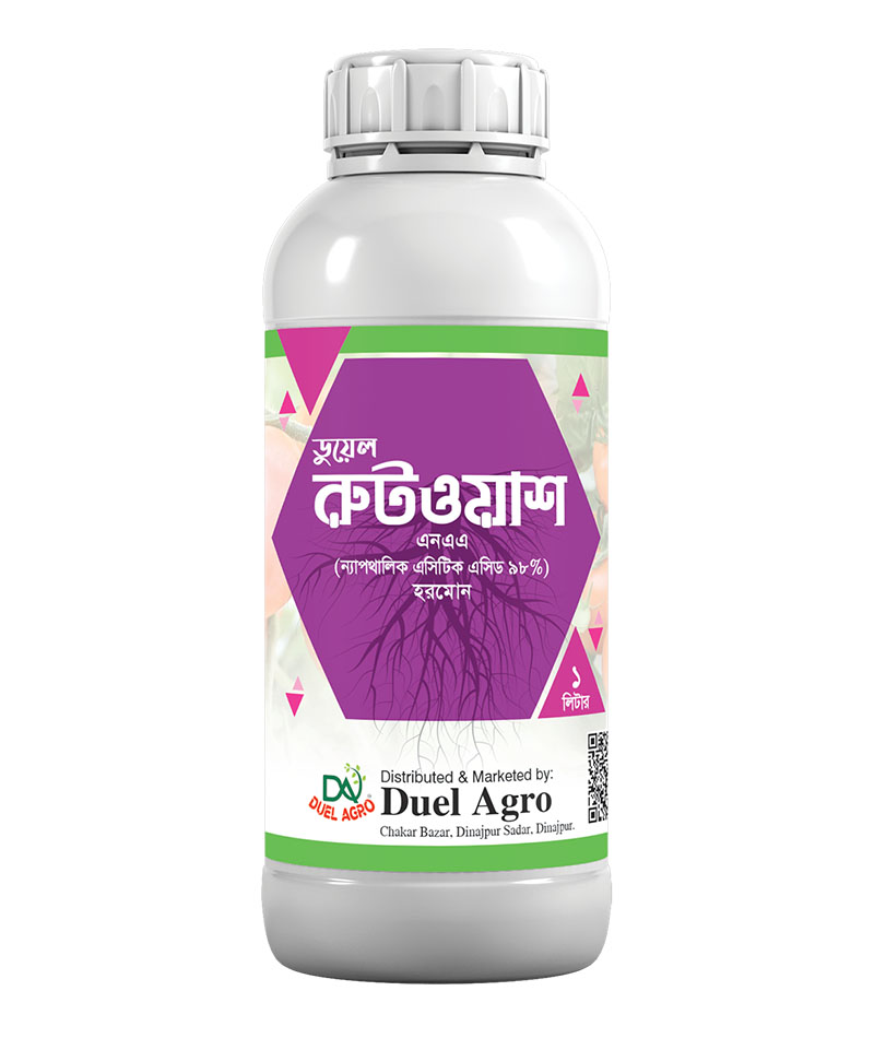 রুটওয়াশ